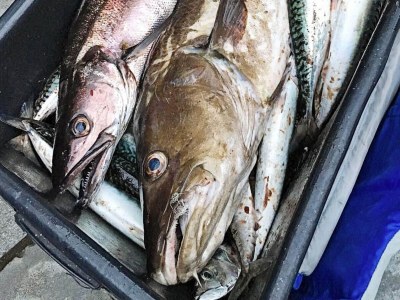 Holiday house 10 Personen Ferienhaus in Bygstad-By Traum - Outdoor photo 40