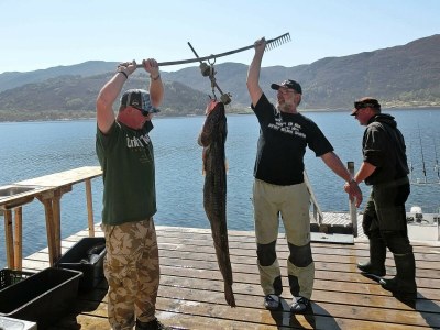 Holiday house 6 person holiday home in Gursken-By Traum - Outdoor photo 18