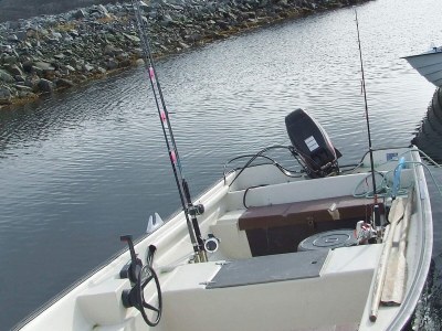 Holiday house 6 Personen Ferienhaus in Storfosna-By Traum - Outdoor photo 13