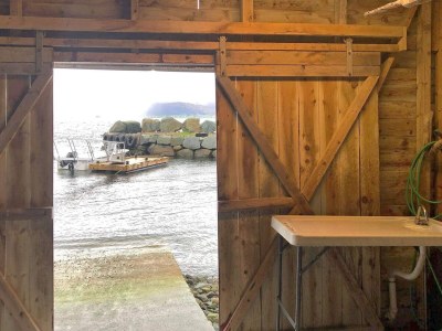 Holiday house 5 person holiday home in Svelgen-By Traum - Outdoor photo 36