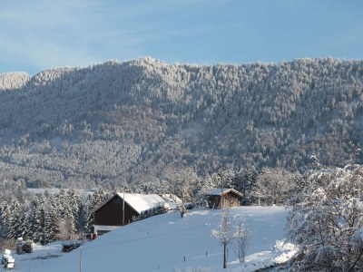 Chalet Chalet Edelweiss - Environment photo 19