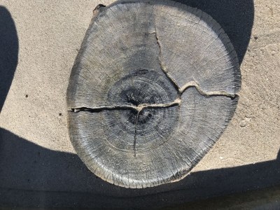 Holiday house "Ostseetraum" - Environment photo 32