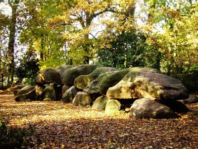 Bungalow de Eekhoorn - Environment photo 10