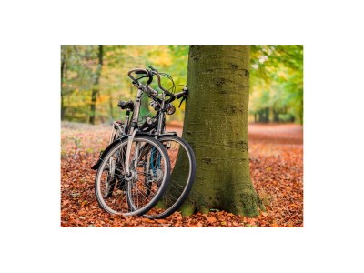 Bungalow de Eekhoorn - Environment photo 11