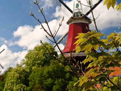 Holiday house Ottos Huus - Environment photo 27