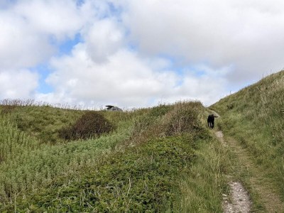Holiday house 7 Personen Ferienhaus in Vestervig-By Traum - Outdoor photo 30