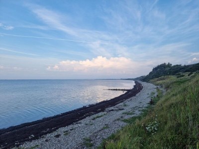 Holiday house 7 Personen Ferienhaus in Vestervig-By Traum - Outdoor photo 36