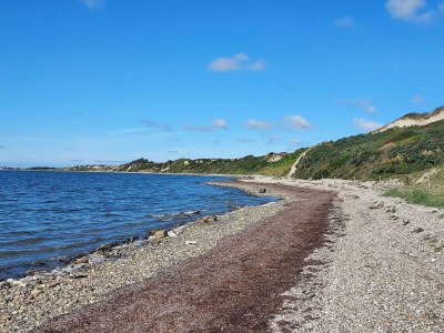 Holiday house 7 Personen Ferienhaus in Vestervig-By Traum - Outdoor photo 37
