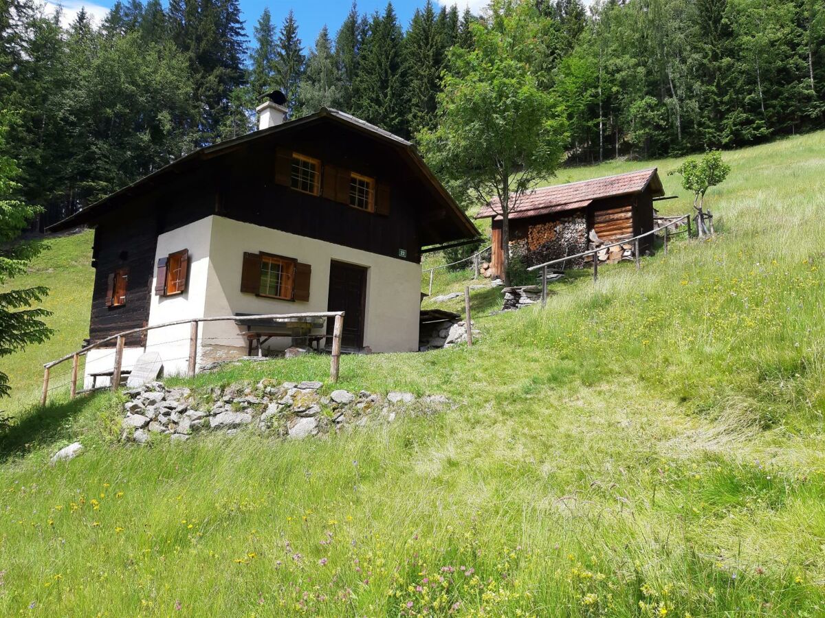 Apartment Ferienhaus Greithhütte