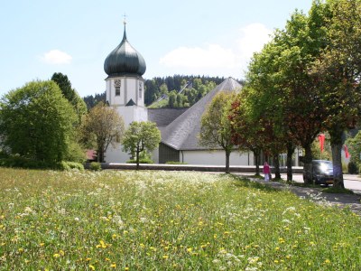 Holiday apartment Schmidle - Environment photo 28