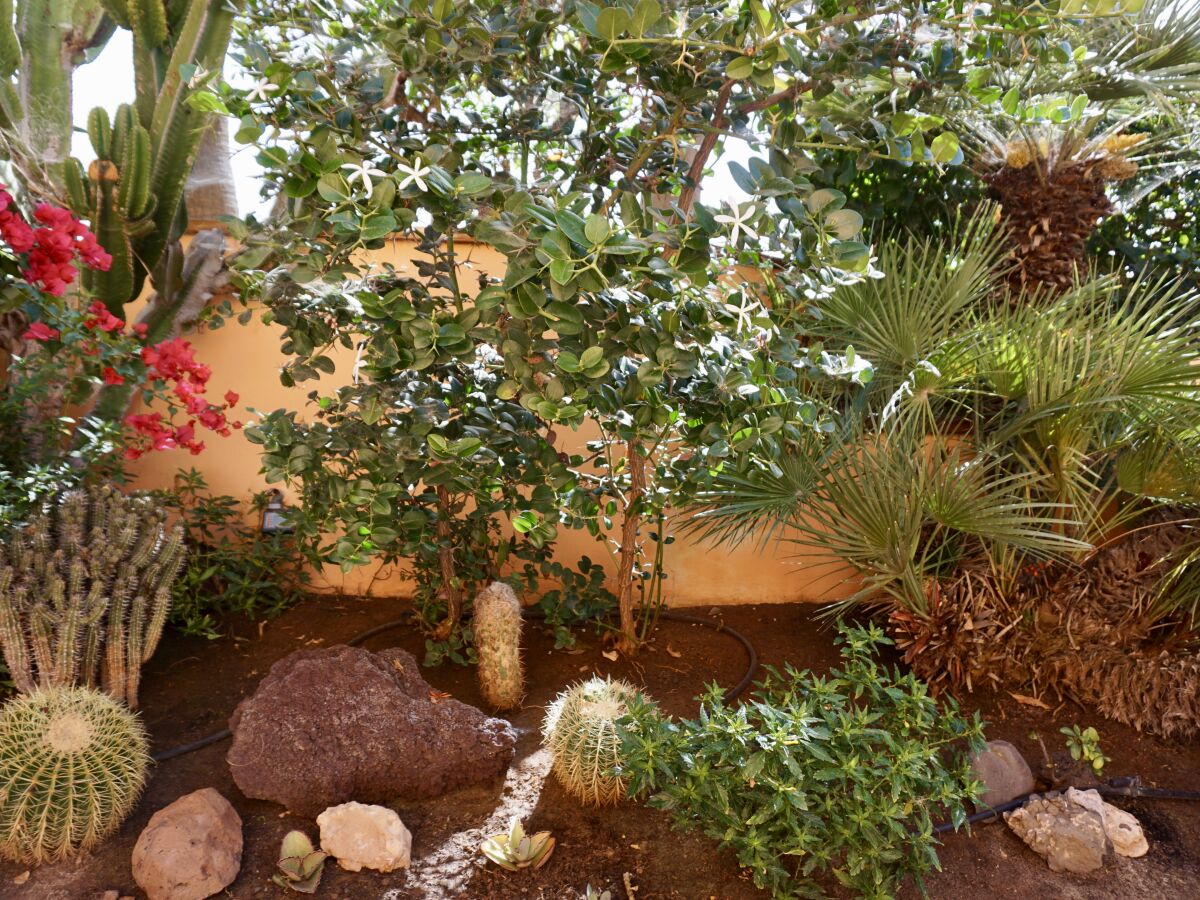 Holiday apartment Claudia" - directly set at the beach, very tranquile! 1 - Outdoor photo 4