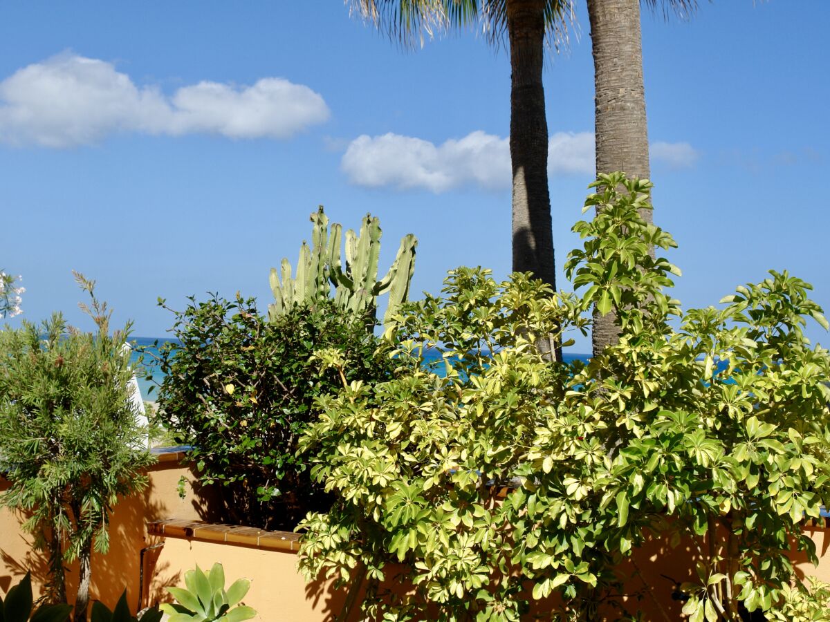 Holiday apartment Claudia" - directly set at the beach, very tranquile! 1 - Outdoor photo 5