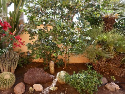 Holiday apartment Claudia" - directly set at the beach, very tranquile! 1 - Outdoor photo 4