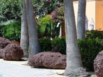 Holiday apartment Claudia" - directly set at the beach, very tranquile! 1 - Outdoor photo 7