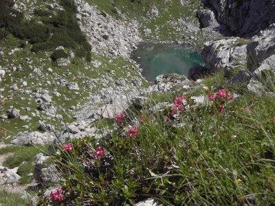 Holiday apartment Haus Florence - Environment photo 15