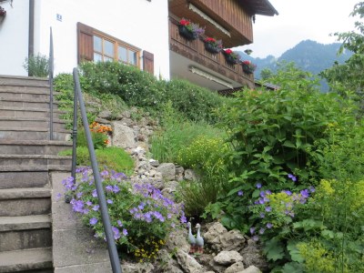 Holiday apartment Daller - Outdoor photo 4