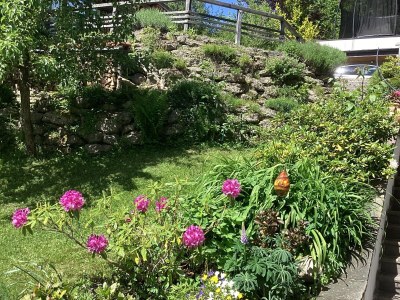 Holiday apartment Daller - Outdoor photo 6