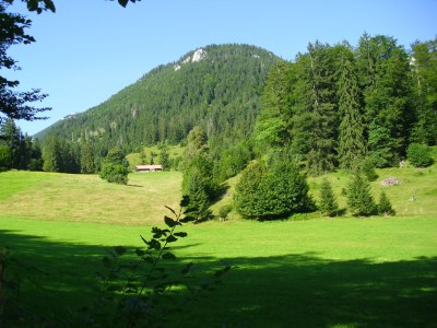 Holiday apartment Daller - Environment photo 16