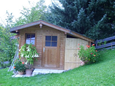 Holiday apartment Daller - Environment photo 18