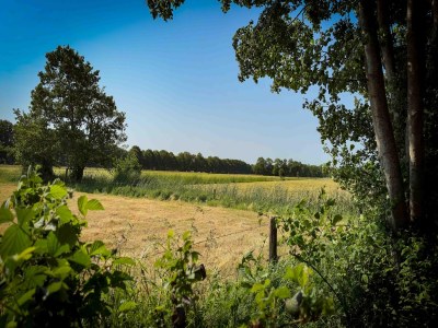 Holiday house Ferienhaus in Friesland am See für 6 Von Belvilla - Environment photo 28