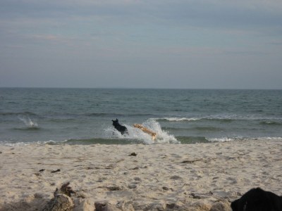 Holiday apartment Sea Symphony - in Villa Frigga - Environment photo 19