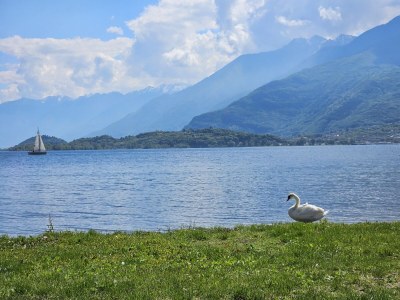 Holiday apartment No title - Environment photo 26