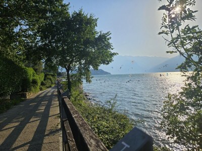 Holiday apartment No title - Environment photo 31