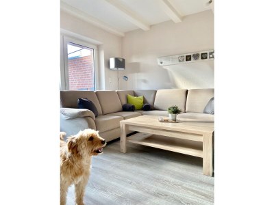 Holiday house Huus North Sea - Features photo 10