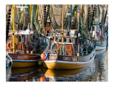 Holiday house Huus North Sea - Environment photo 26
