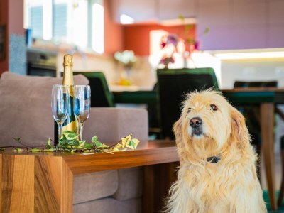 Villa Villa Arkaim with Private Pool - Features photo 20