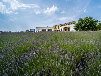 Villa Villa Arkaim with Private Pool - Environment photo 41