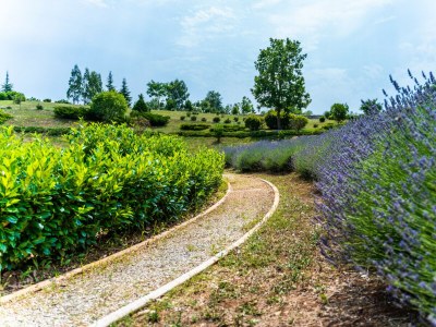 Villa Villa Arkaim with Private Pool - Environment photo 42