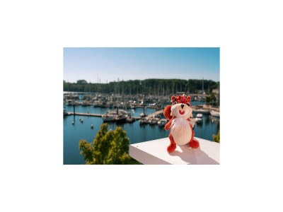 Apartment Beech Resort Boltenhagen - Outdoor photo 35