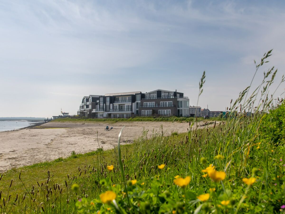 Holiday house Wohnung in Sint-Annaland am Strand - Outdoor photo 3