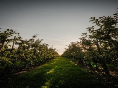 Holiday house Getaway with Garden in Gelderland - Environment photo 19