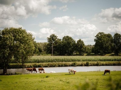 Holiday house Getaway with Garden in Gelderland - Environment photo 20