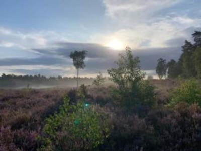 Holiday house Getaway with Garden in Gelderland - Environment photo 21