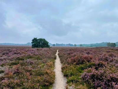 Holiday house Getaway with Garden in Gelderland - Environment photo 27