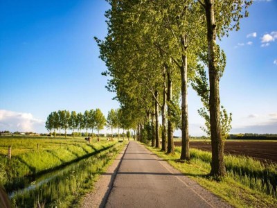 Holiday house Getaway with Garden in Gelderland - Environment photo 30