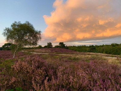 Holiday house Getaway with Garden in Gelderland - Environment photo 32