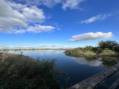 Holiday house Getaway with Garden in Gelderland - Environment photo 33