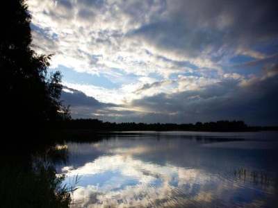 Holiday house Getaway with Garden in Gelderland - Environment photo 36