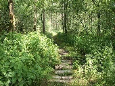 Holiday house Getaway with Garden in Gelderland - Environment photo 37