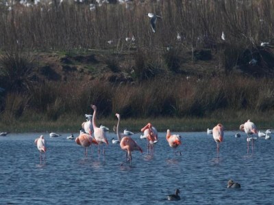 Holiday house Getaway with Garden in Gelderland - Environment photo 38