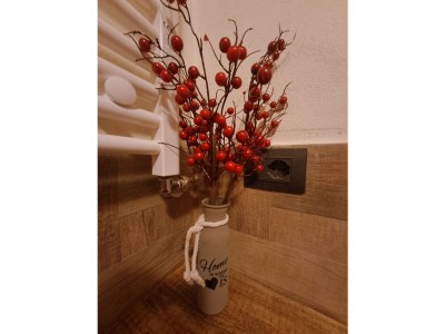 Apartment La Maison du Coeur - Features photo 12