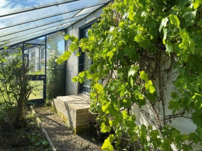 Holiday house Lichtdurchflutete Oase in Boddum -- By Traum Ferienwohnungen - Outdoor photo 26