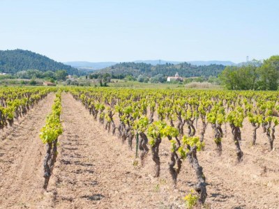 Holiday house Stilvolle Villa in Sainte-Valière - Environment photo 32