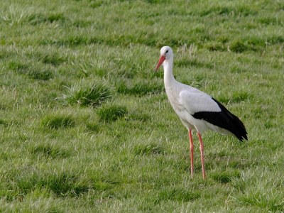 Holiday house Gîte atypique au bord de l'eau - Environment photo 21