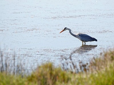 Holiday house Gîte atypique au bord de l'eau - Environment photo 22