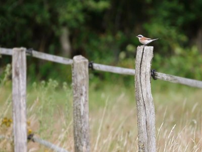 Holiday house Gîte atypique au bord de l'eau - Outdoor photo 24